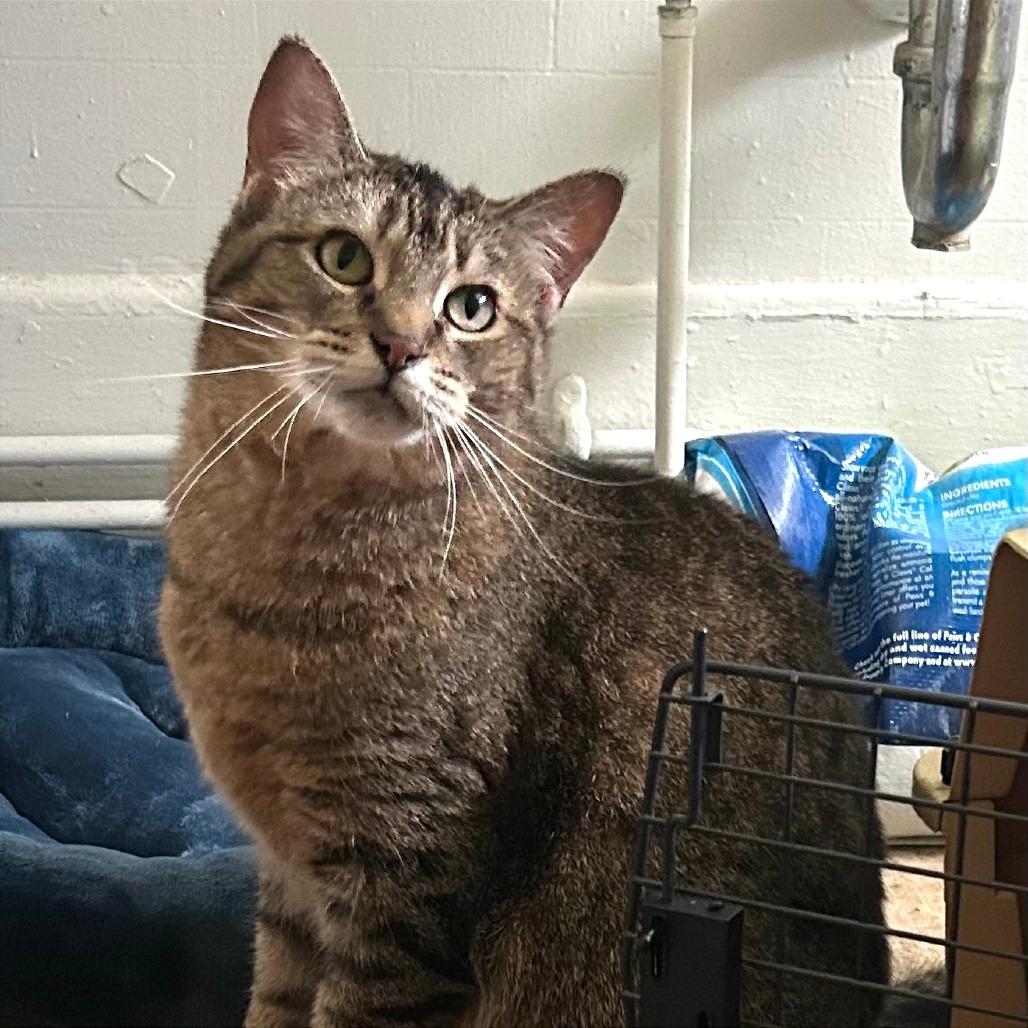 Parker-In foster