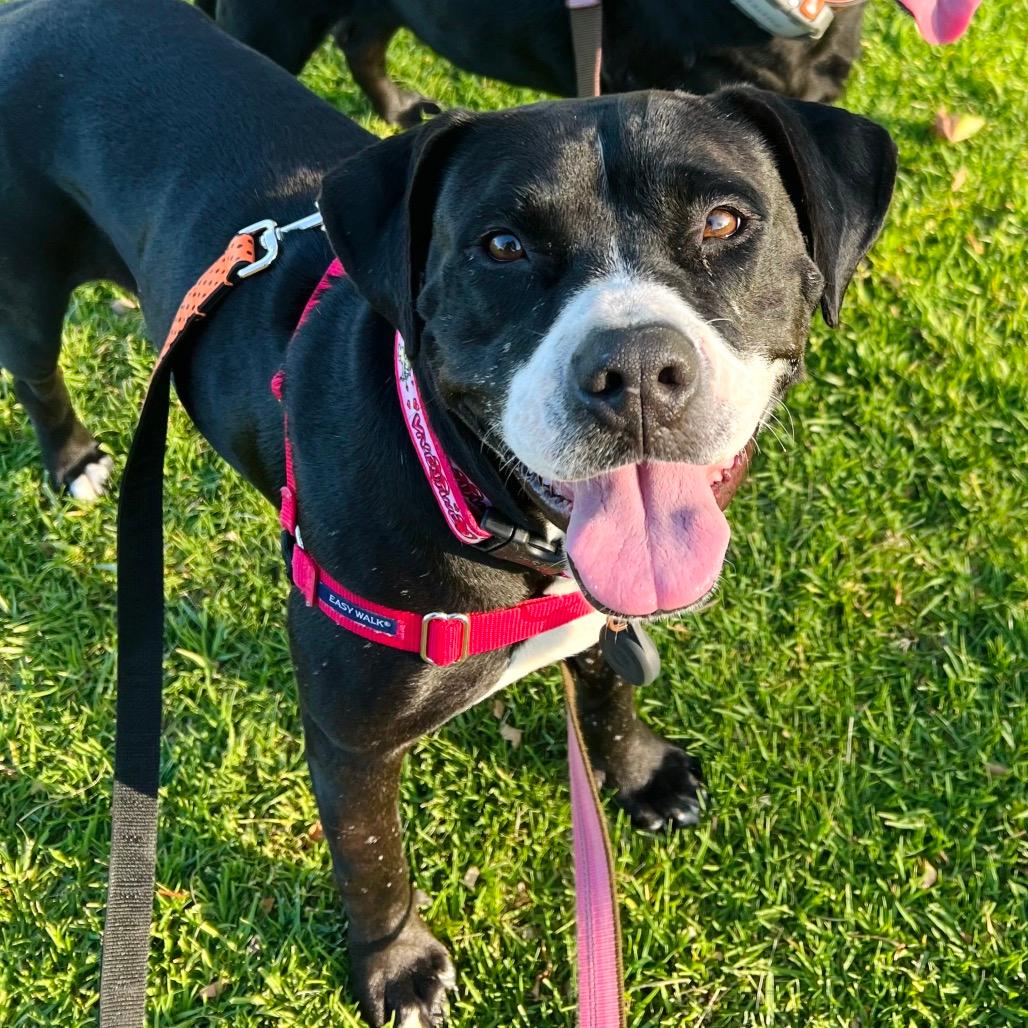 Darla