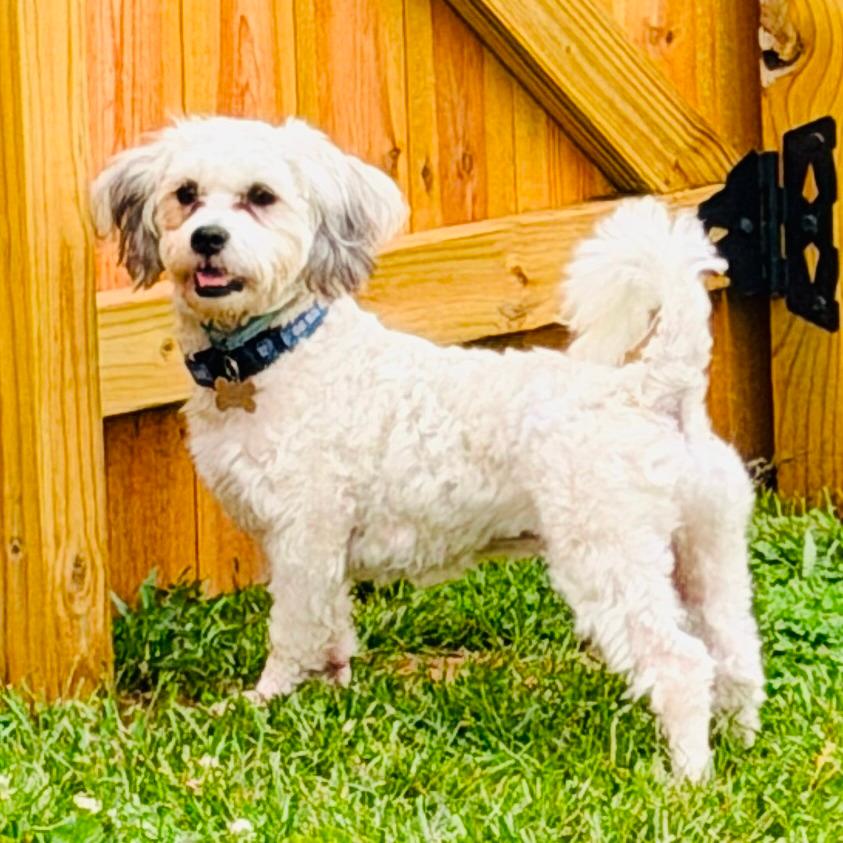 Murphy
