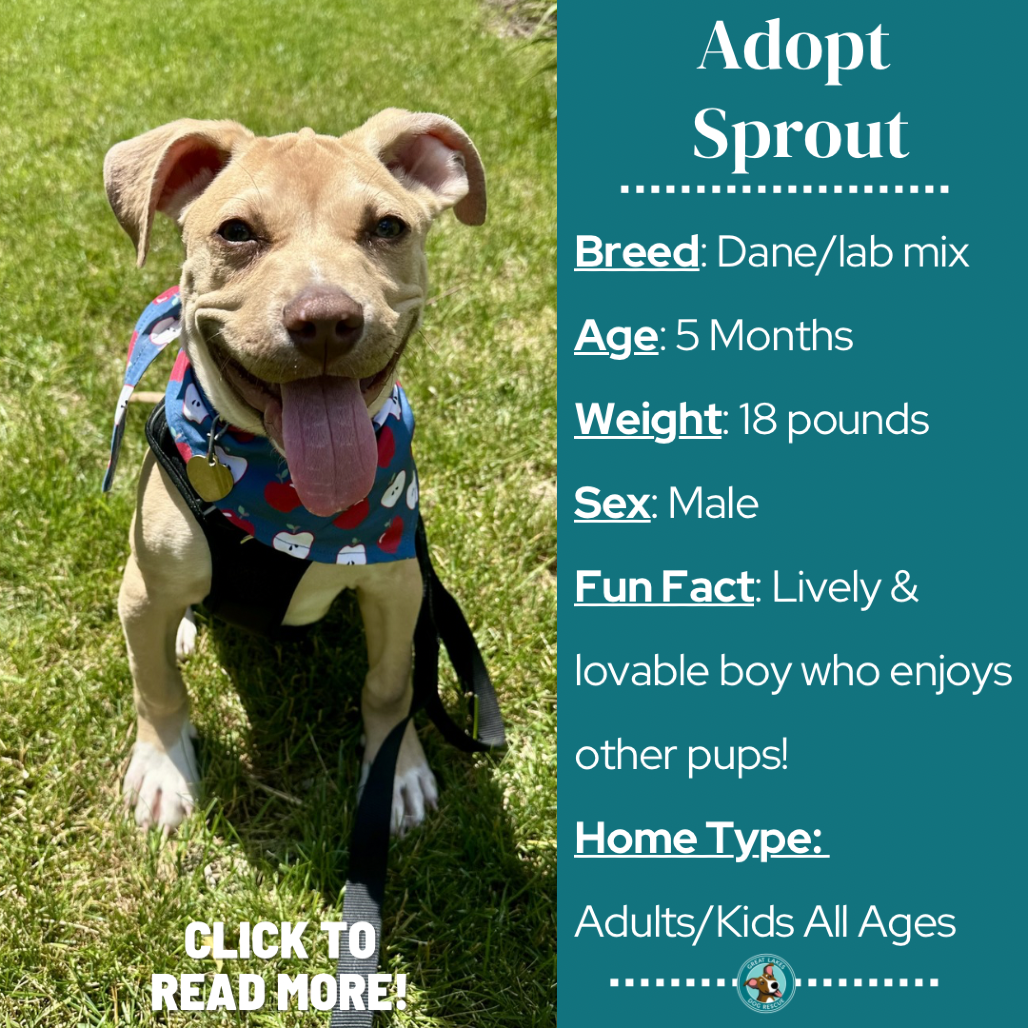 Sprout