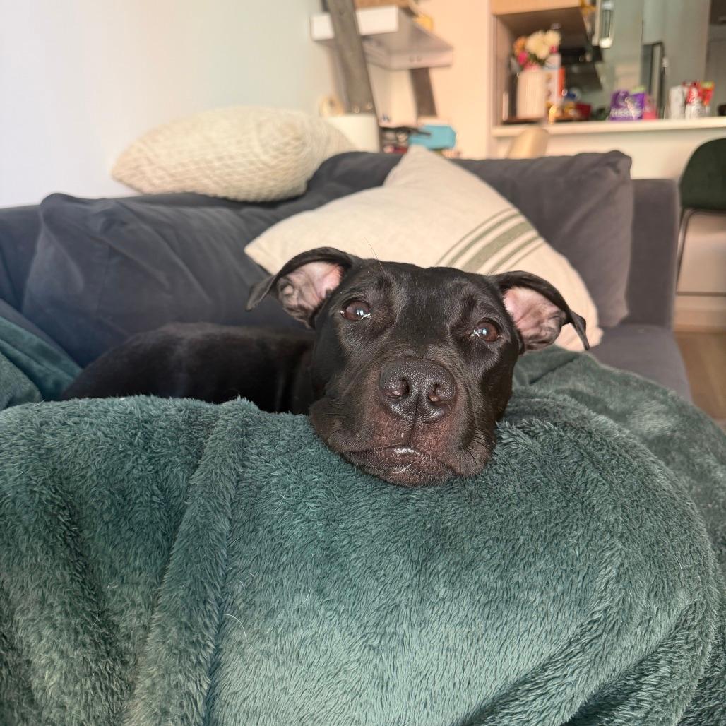 Benny