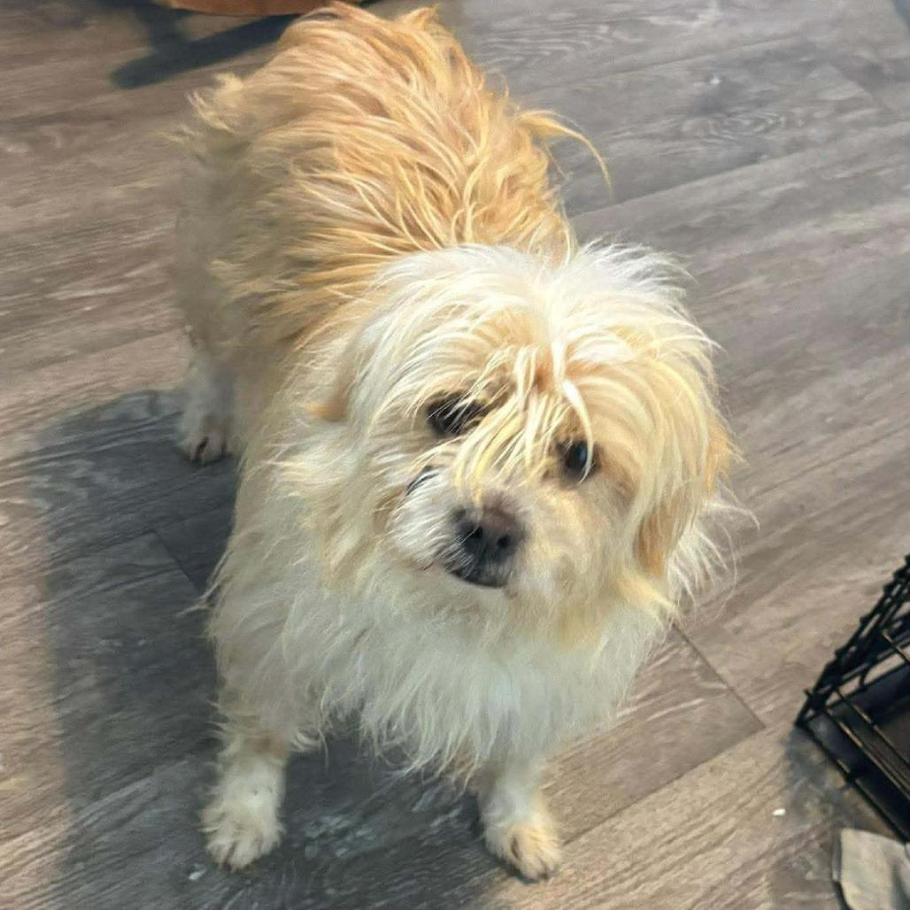Ralphie