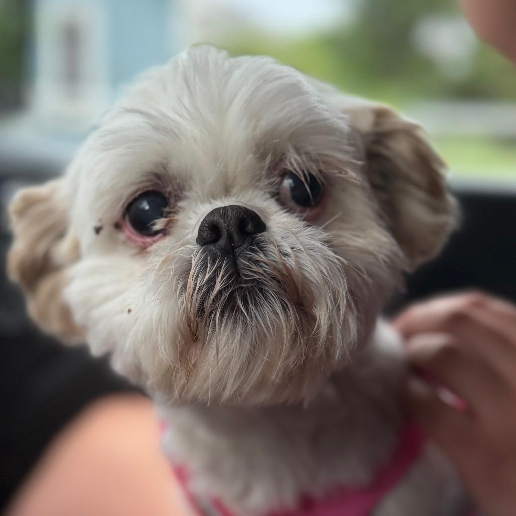 Molly