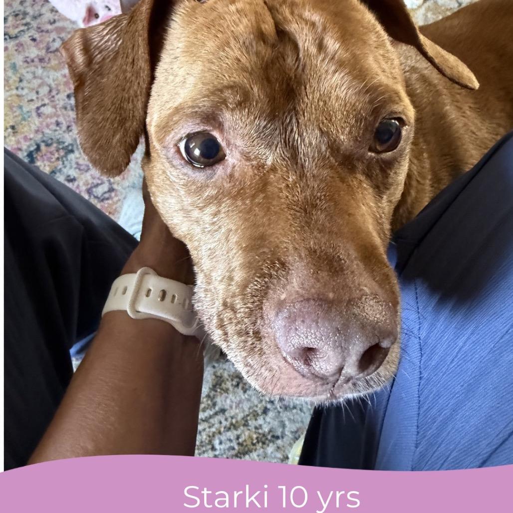 Starki