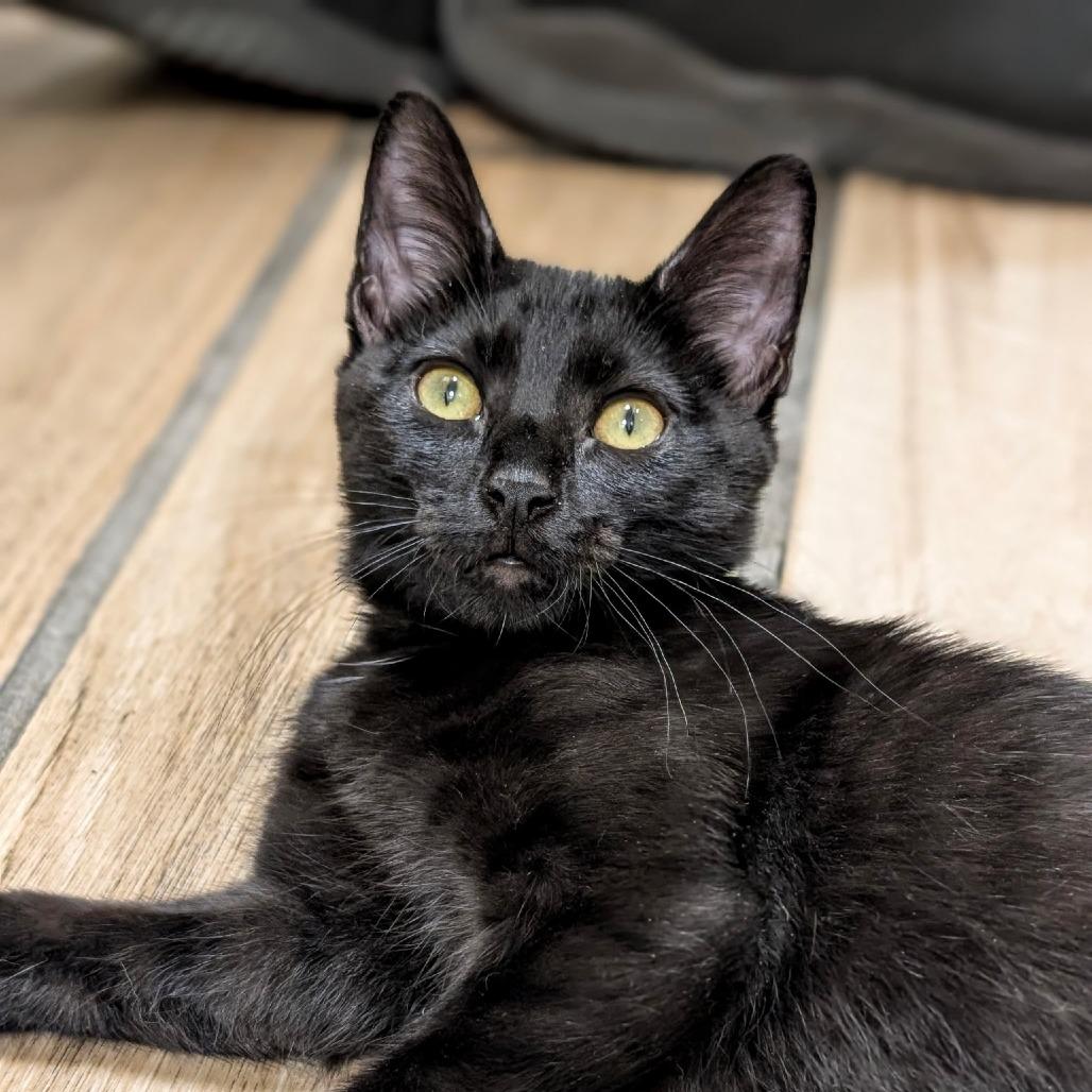 Precious