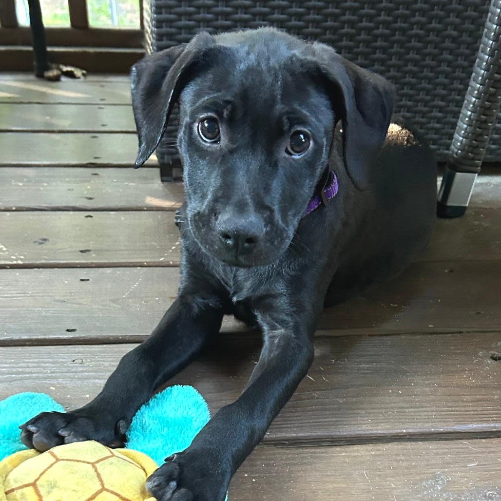 Rosie Columbus