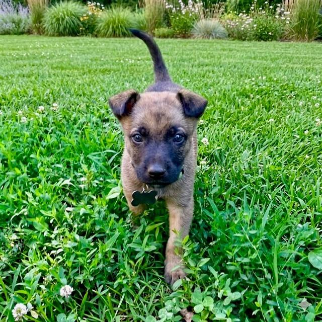 Arnold (In Foster)