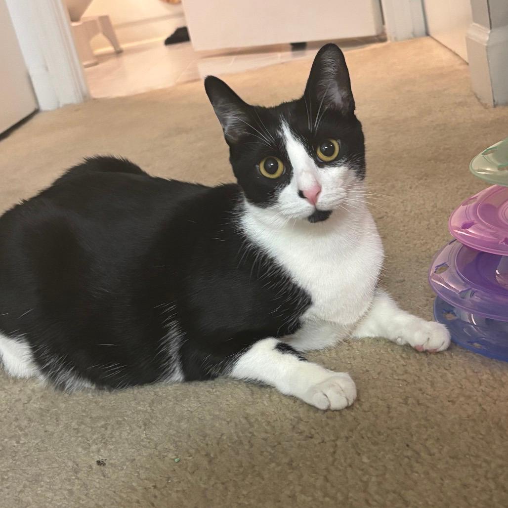 Delilah