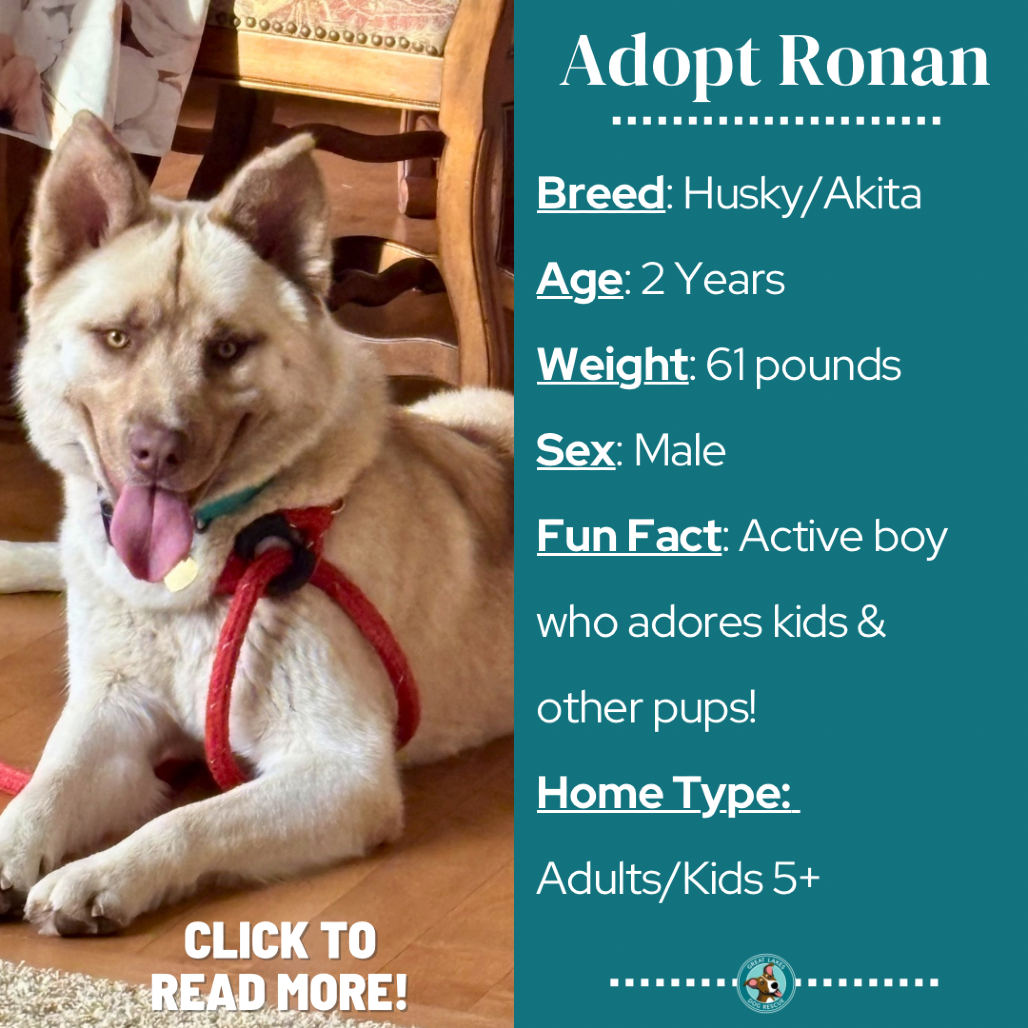 Ronan