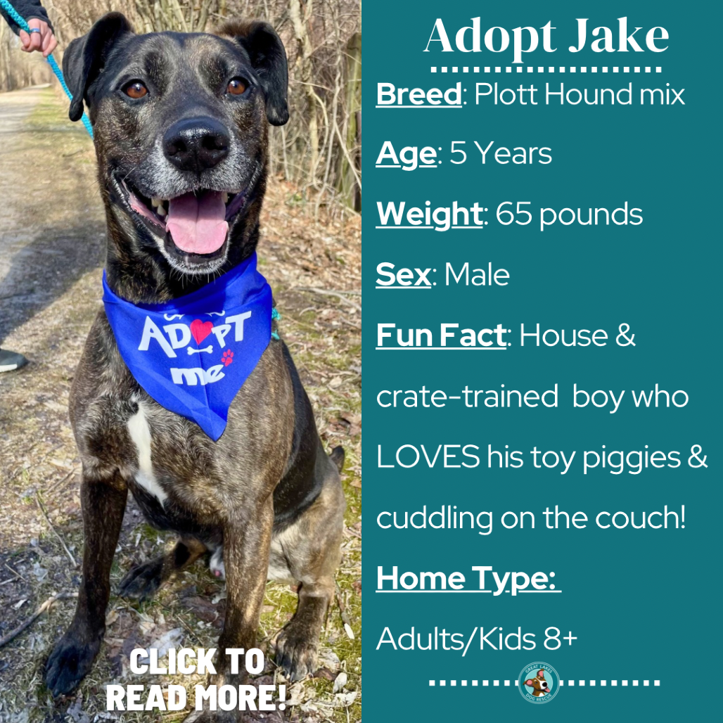 Jake