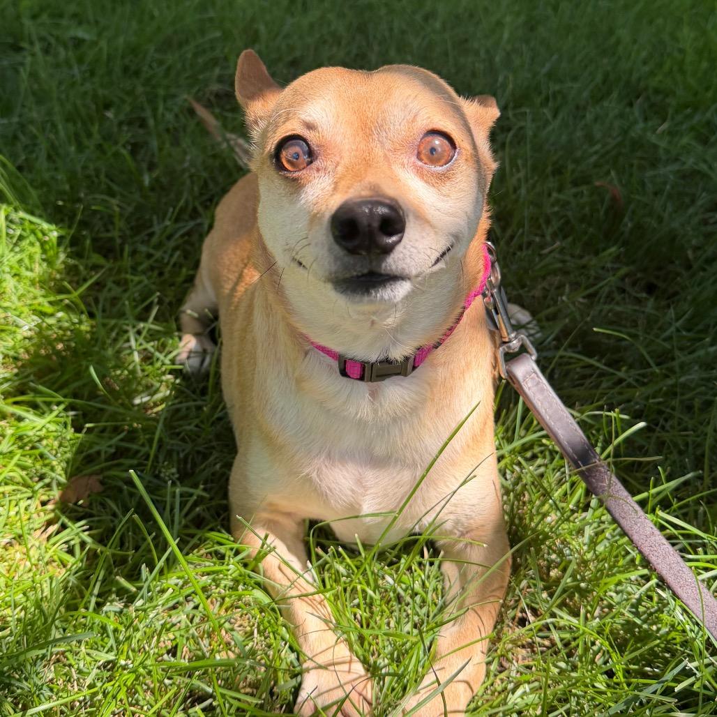 Max