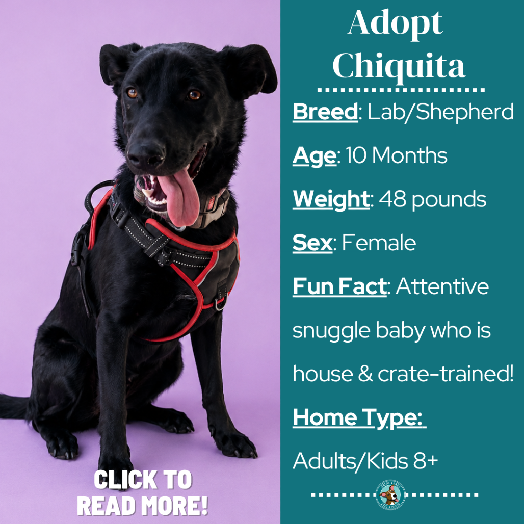 Chiquita