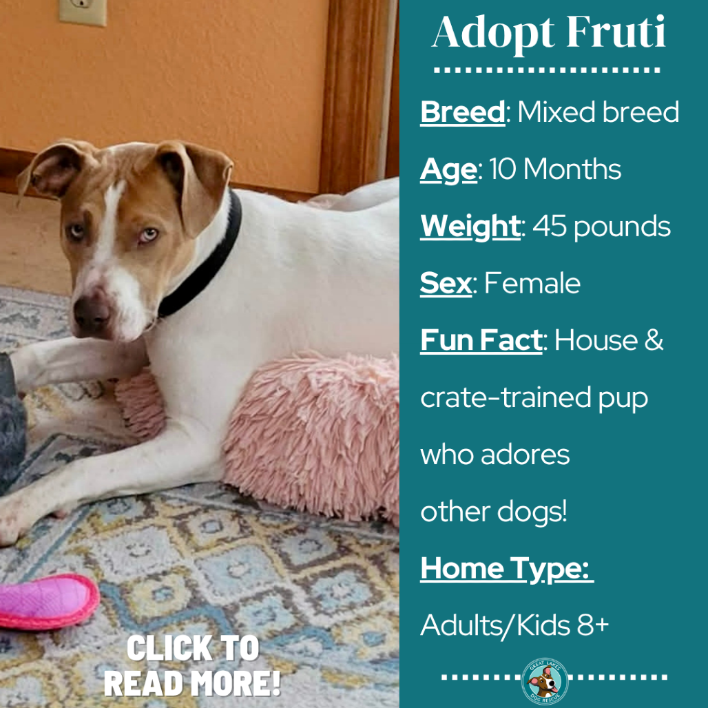 Fruti