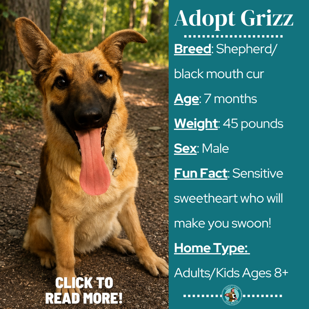 Grizz