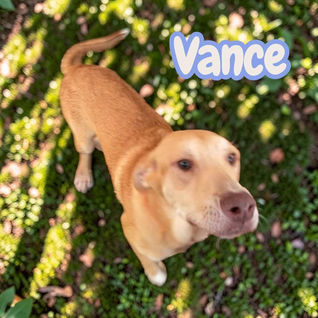 Vance