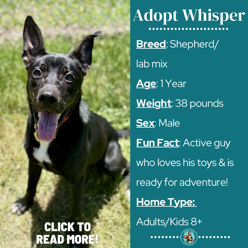 Whisper