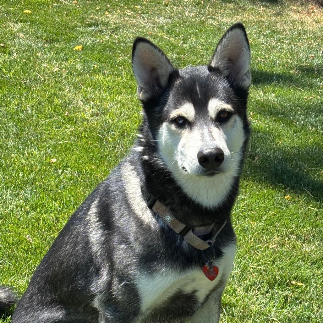 Kenai