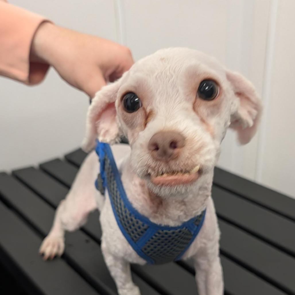 RJ
