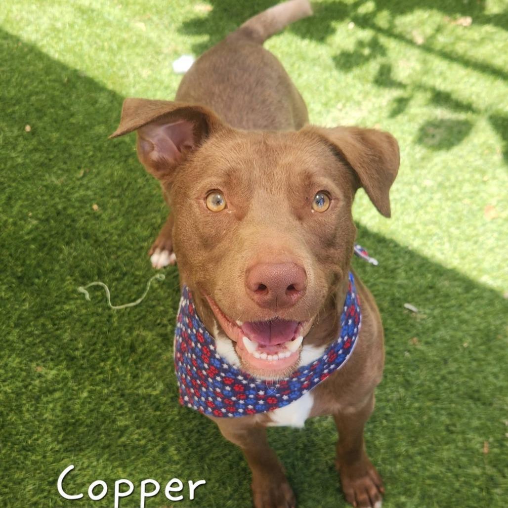 Copper