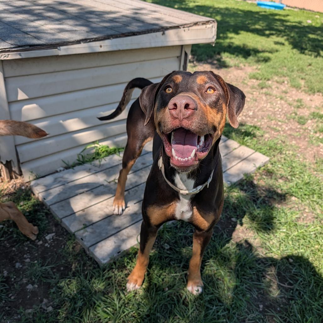 Zoe