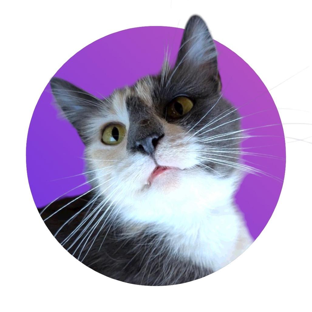 Merengue