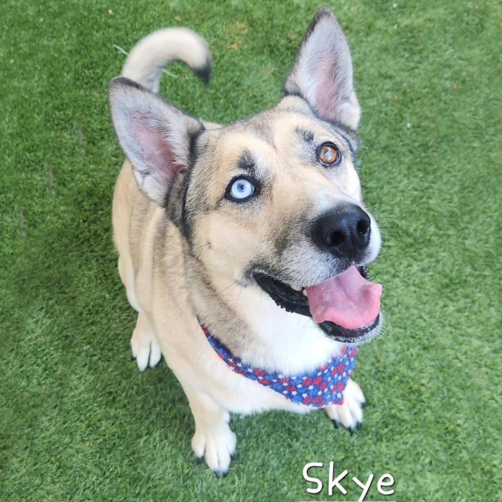 Skye