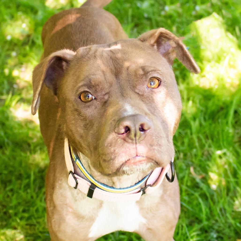Delilah