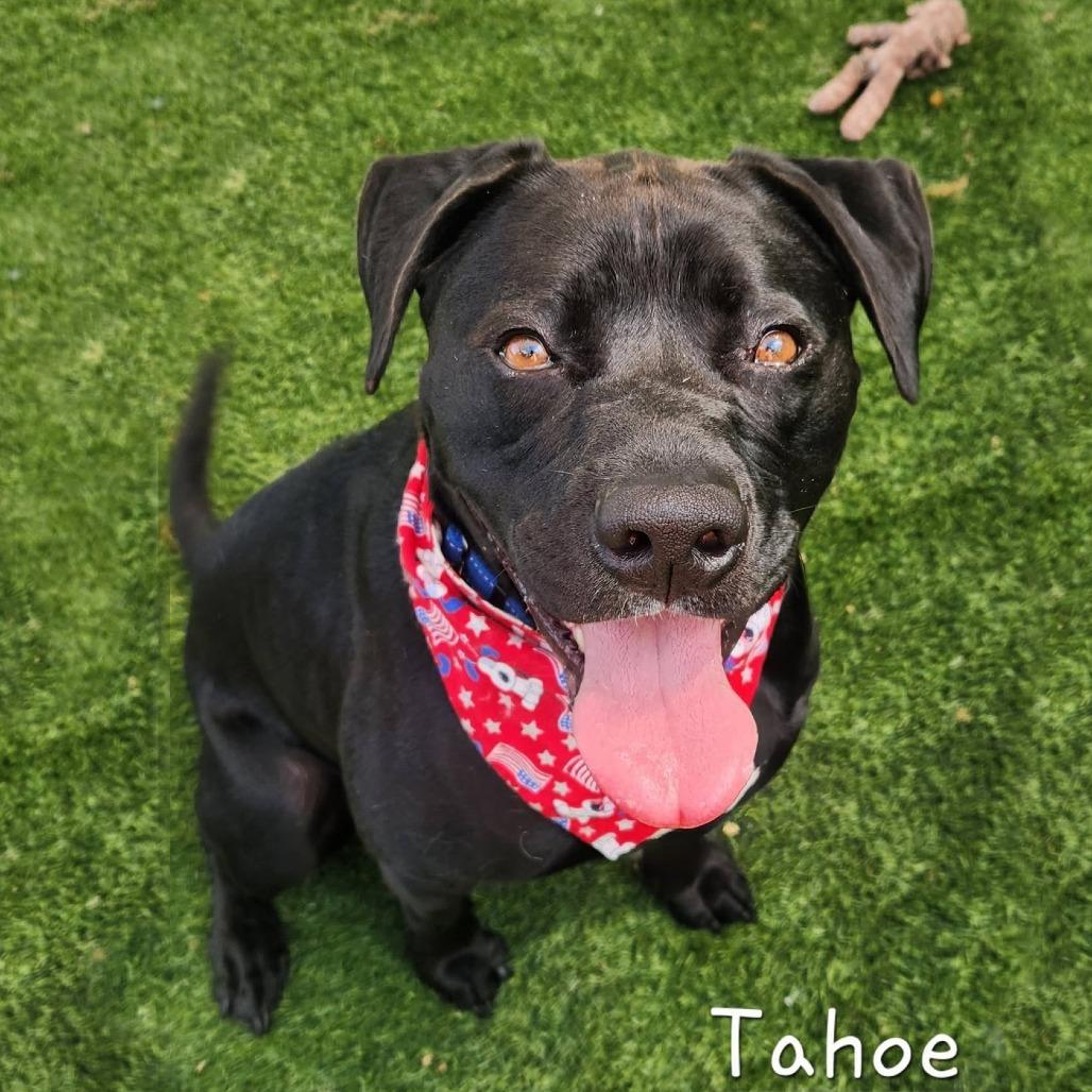 Tahoe