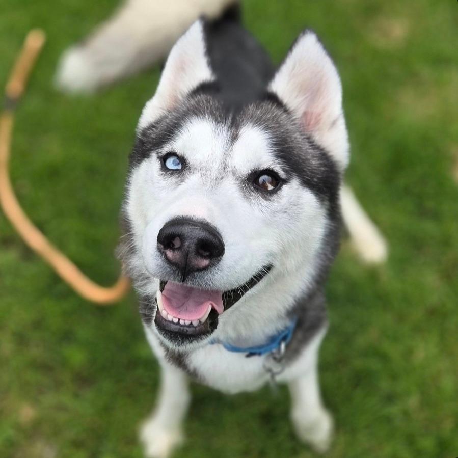Mishka