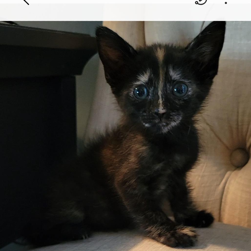 Matilda