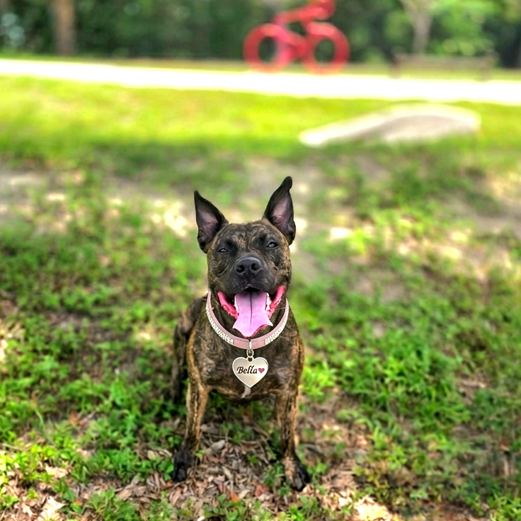 Bella