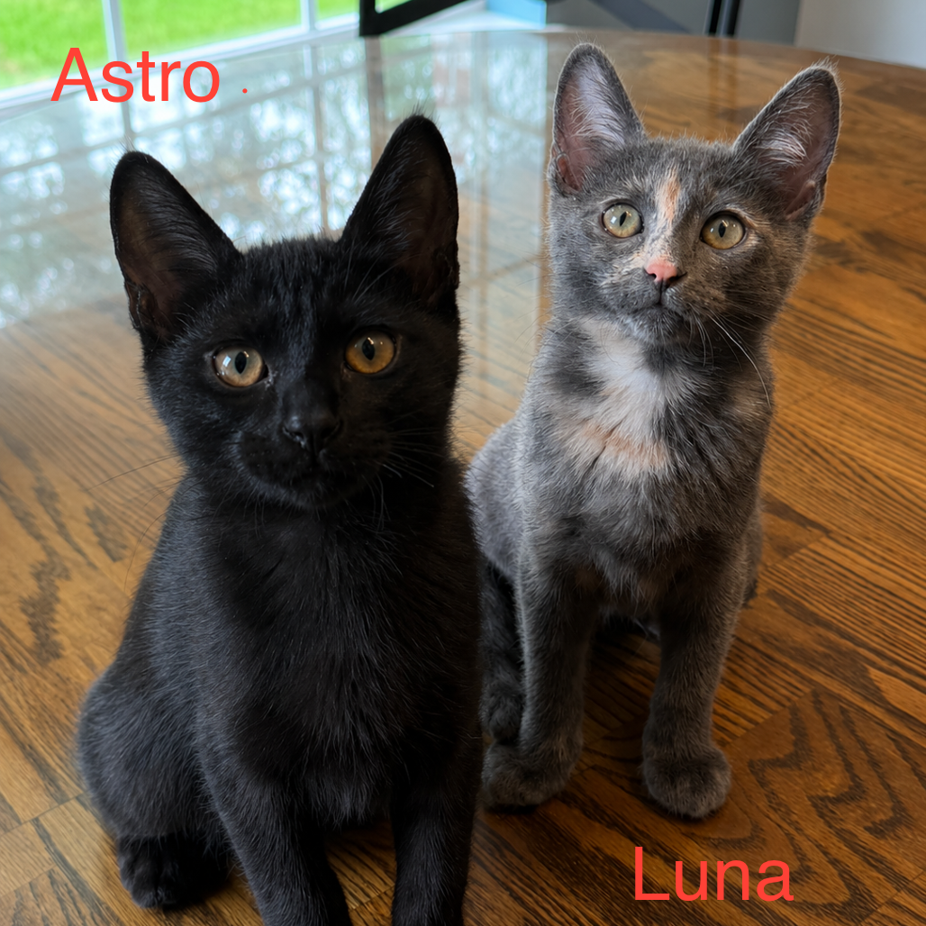 Astro