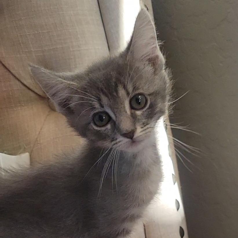 Marilyn