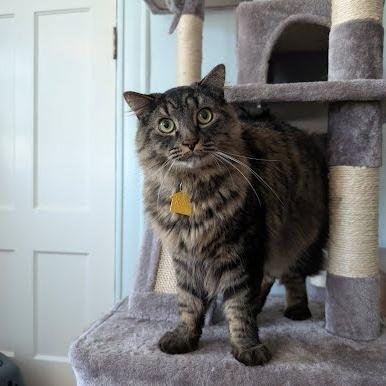 Mikey-In Foster