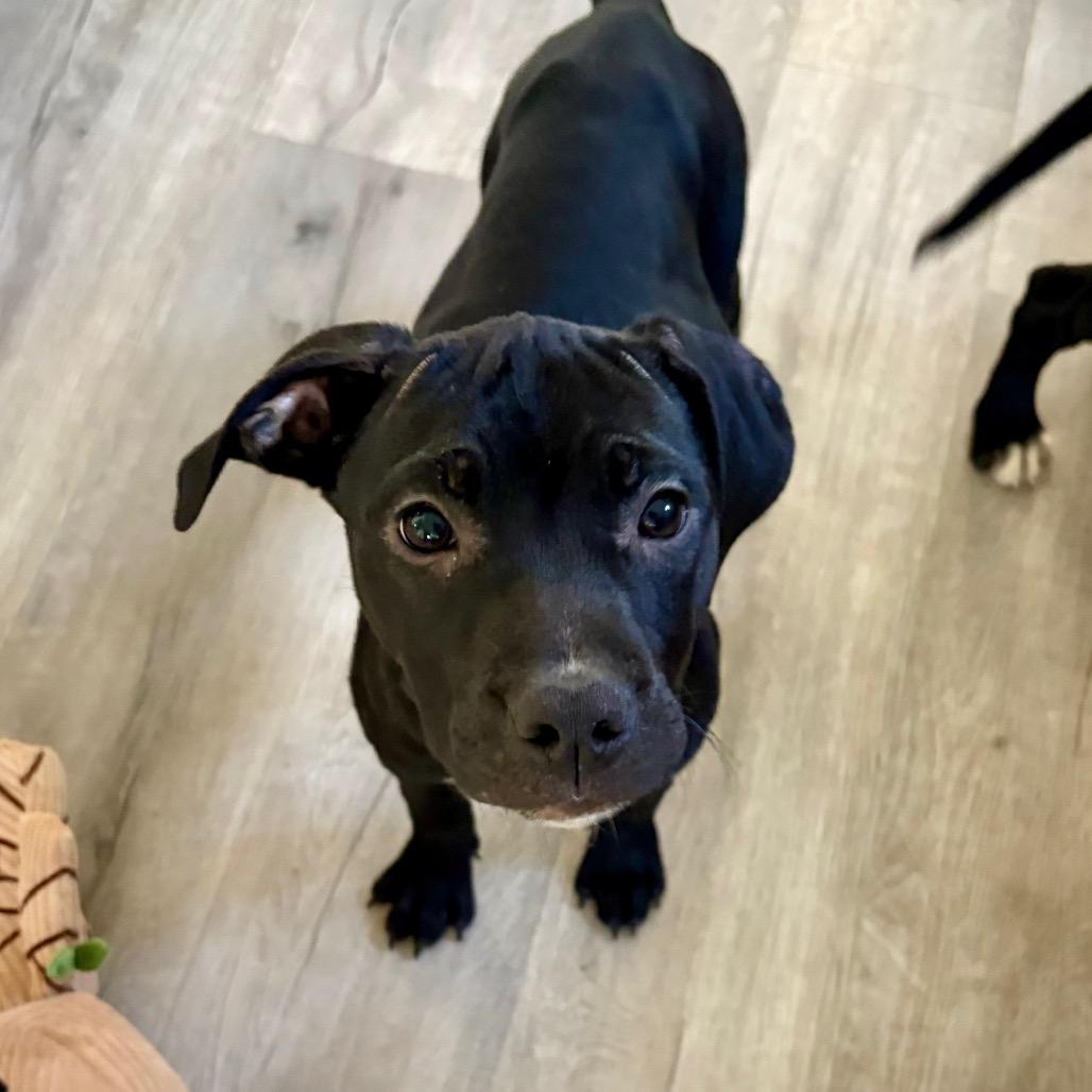 Luna