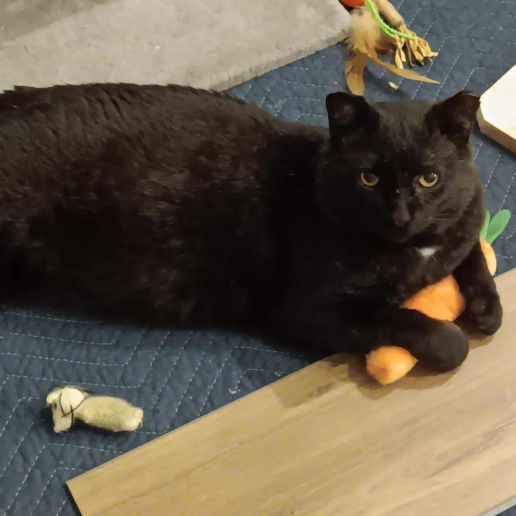 Binx