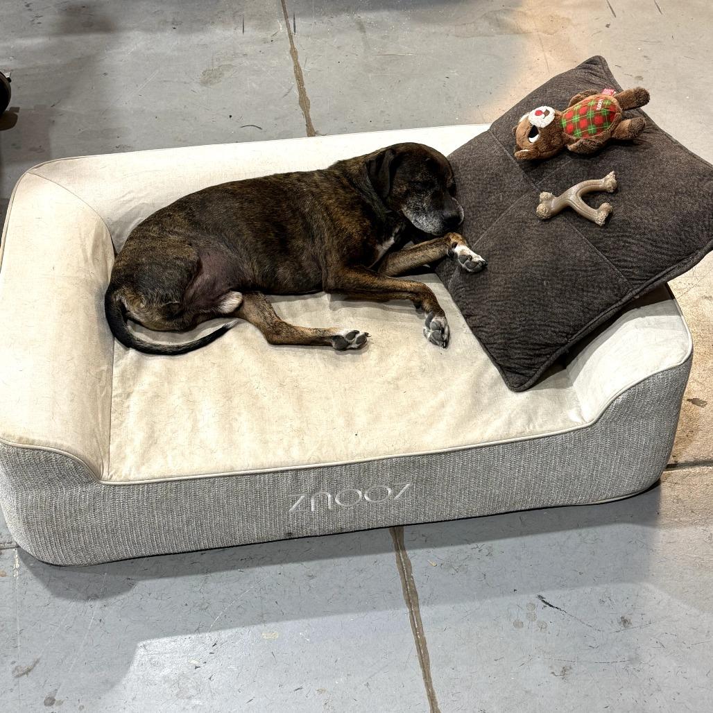 Max