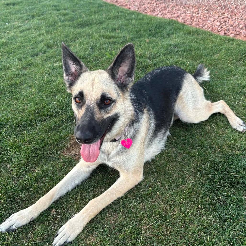 Kiba