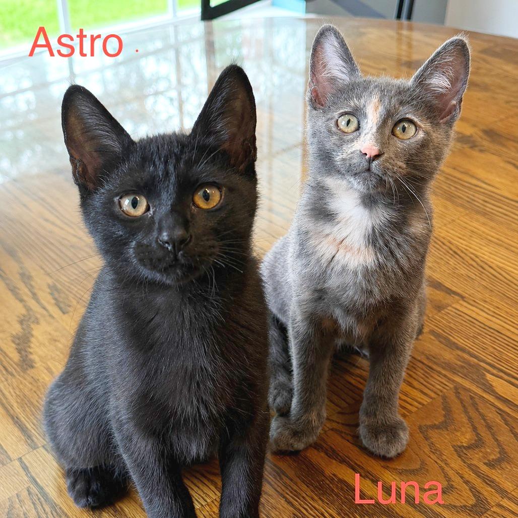 Astro