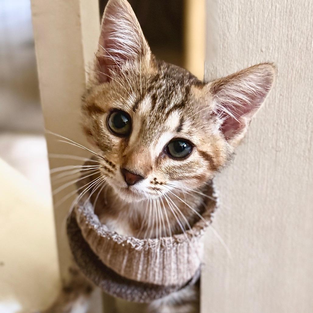 Winky
