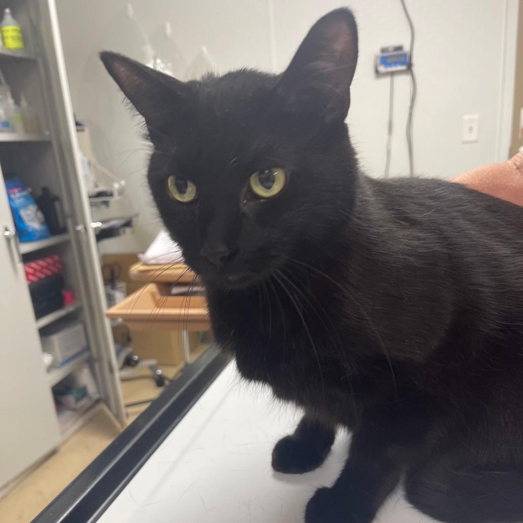 Timmy