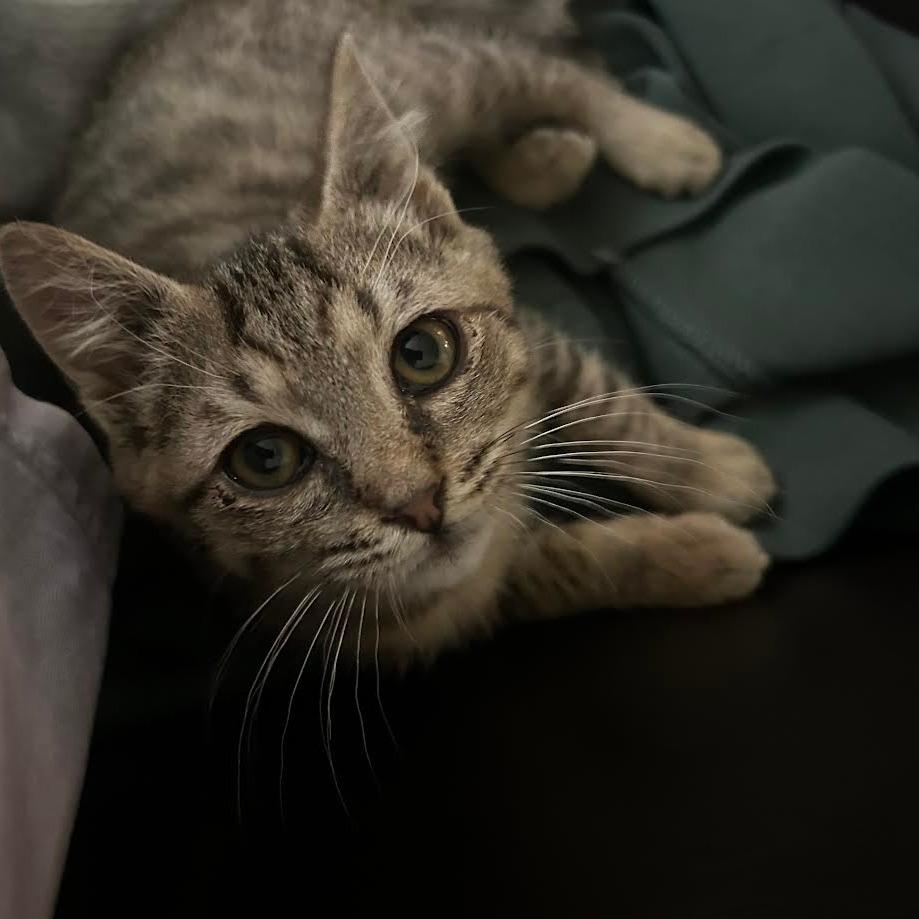 Lennon