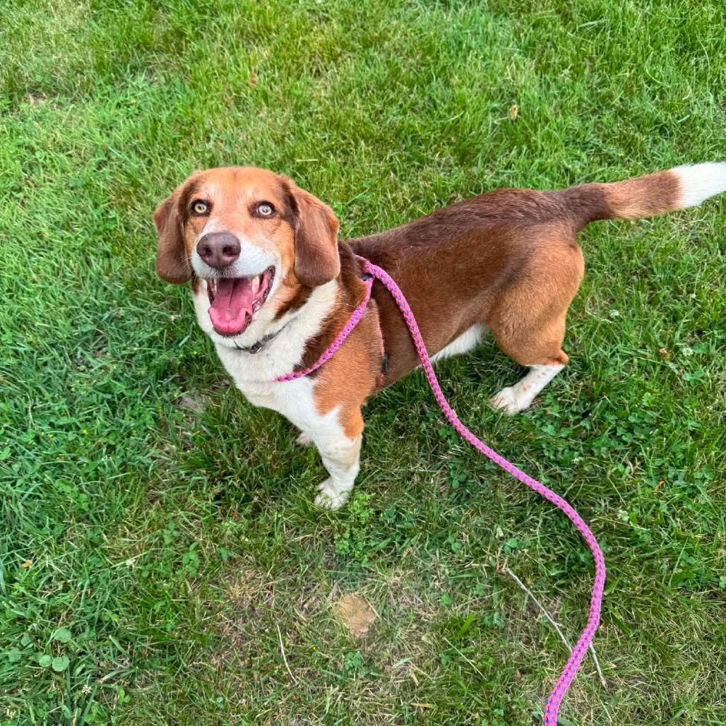 Walter