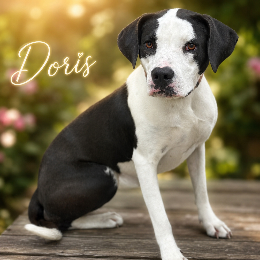 Doris
