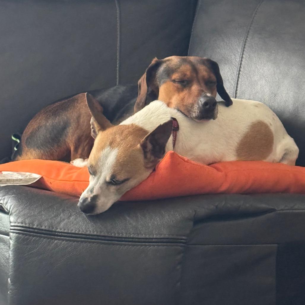 Copper (bonded with Billie)