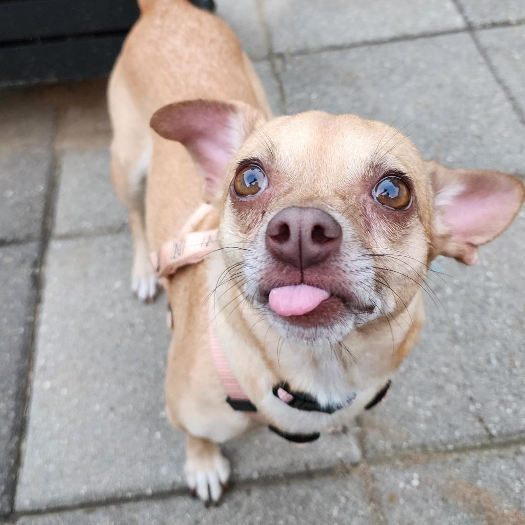Maggie Mae