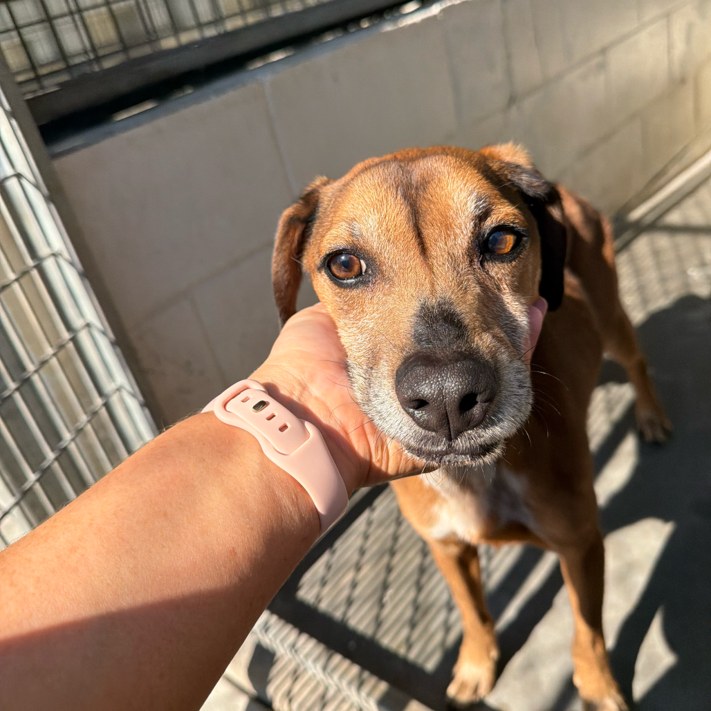 Winston(E2607060304-06538)