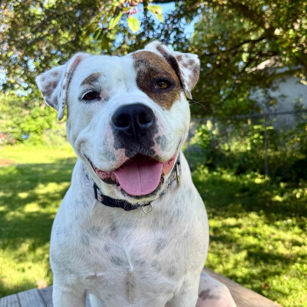Ruthie (bonded to Stacy)