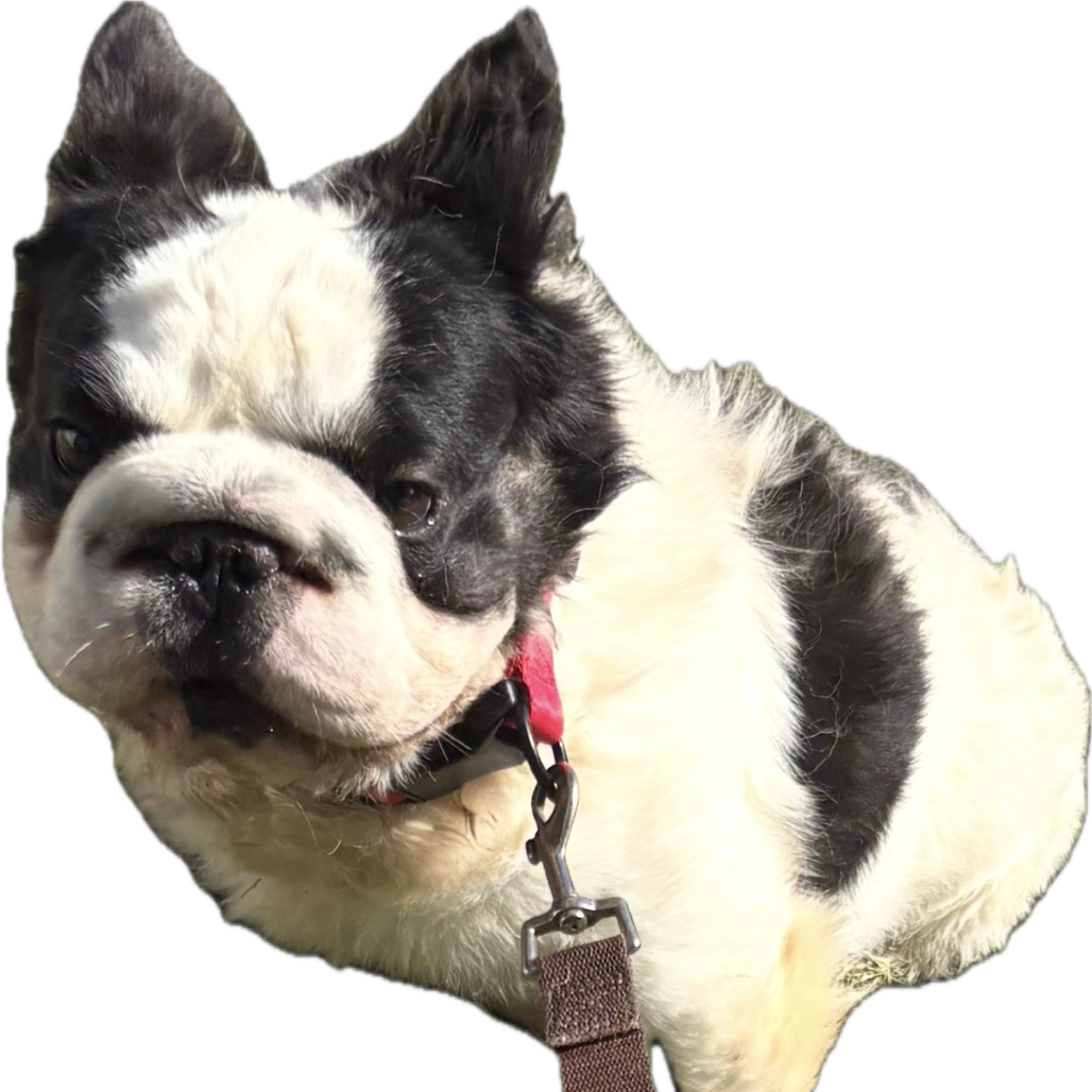 Sam