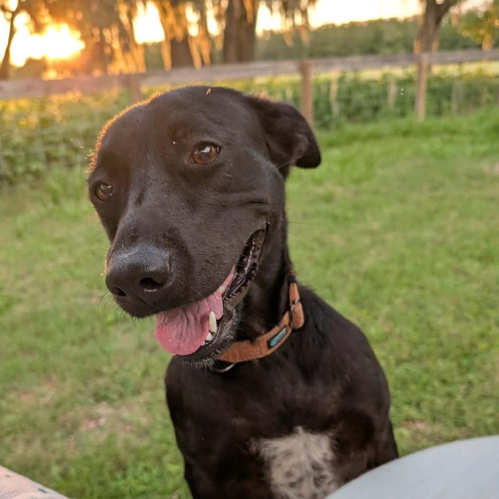 Zoey